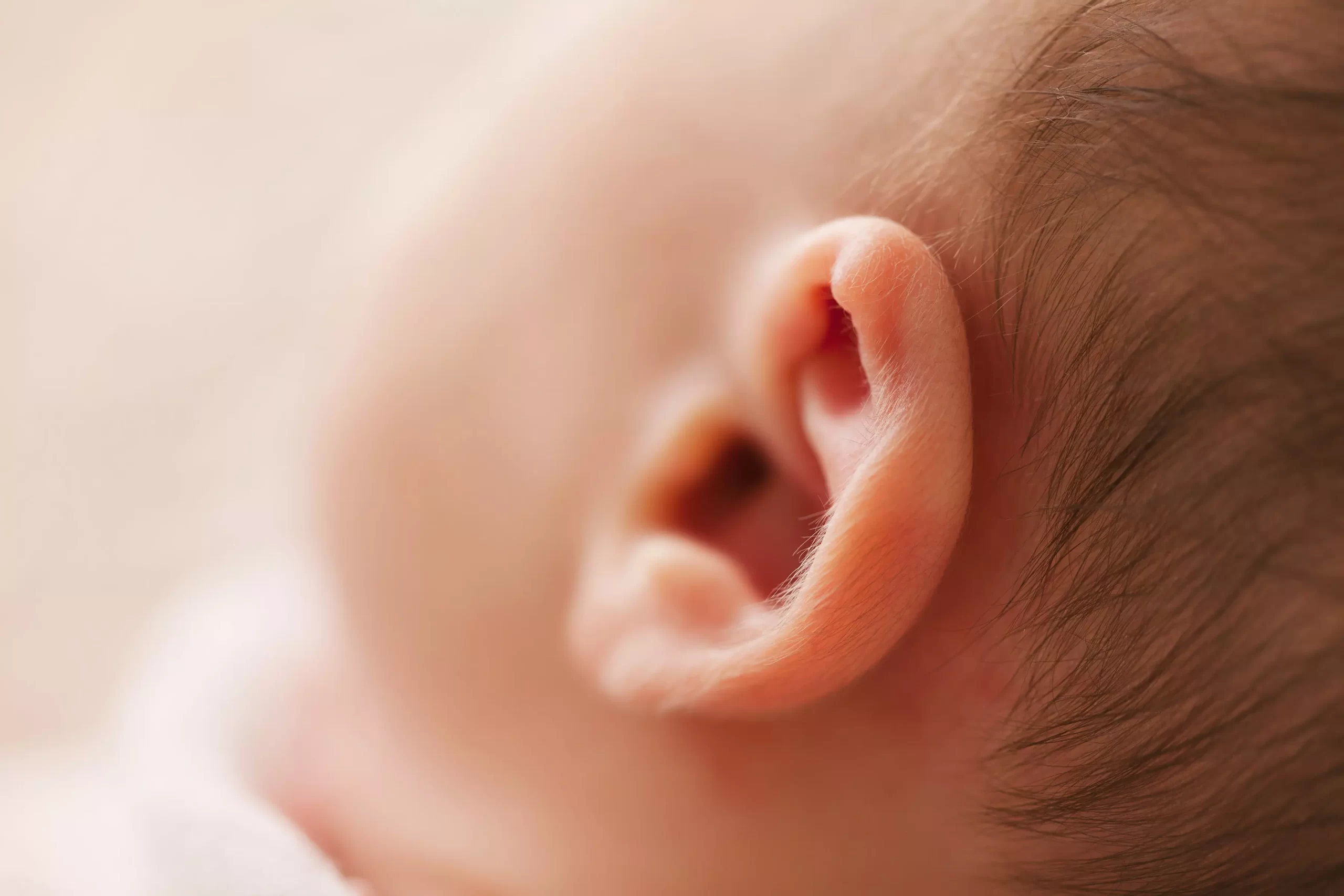 Earbox